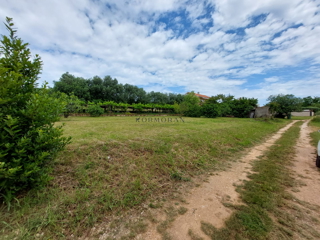 Land - Sale - ISTARSKA - UMAG - UMAG